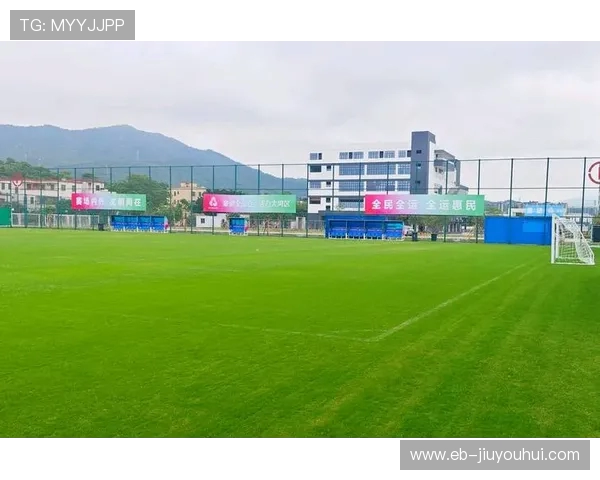 深度解析绿茵场上制胜关键全面揭示足球运动的训练与战术秘诀 深度解析绿茵场上制胜关键全面揭示足球运动的训练与战术秘诀